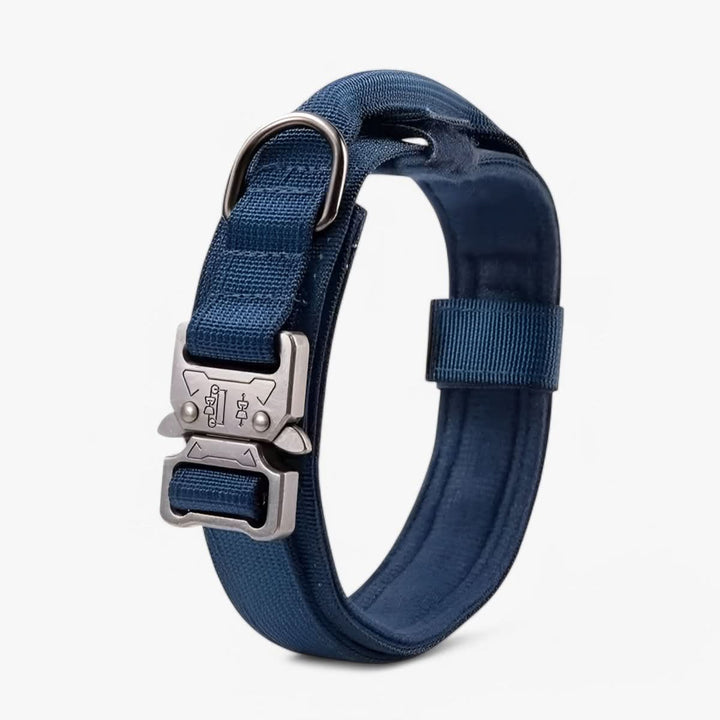 Azura | Adjustable Dog Collar Set for Adventures and Daily Training