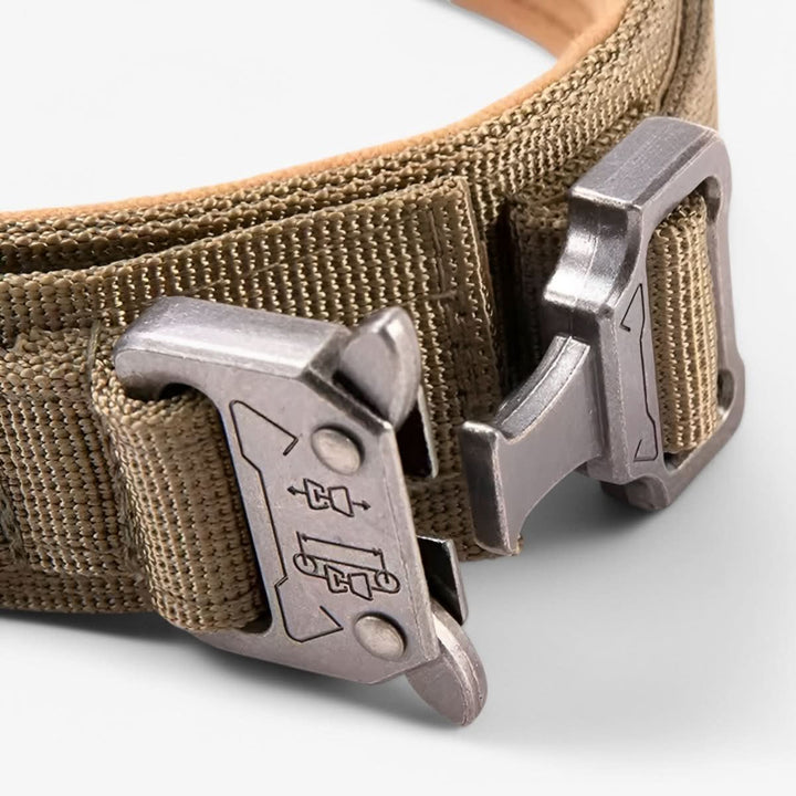 Azura | Adjustable Dog Collar Set for Adventures and Daily Training
