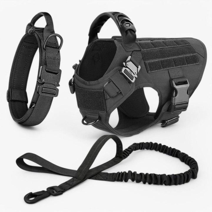 Azura | Adjustable Dog Harness for Safe and Comfortable Training