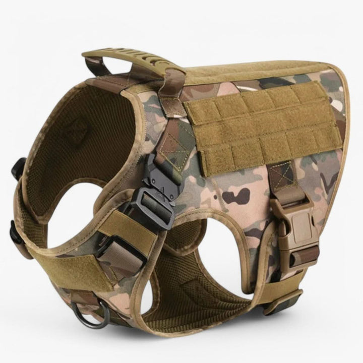 Azura | Adjustable Dog Harness for Safe and Comfortable Training