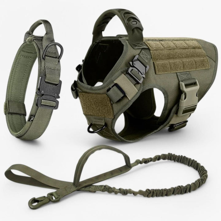 Azura | Adjustable Dog Harness for Safe and Comfortable Training