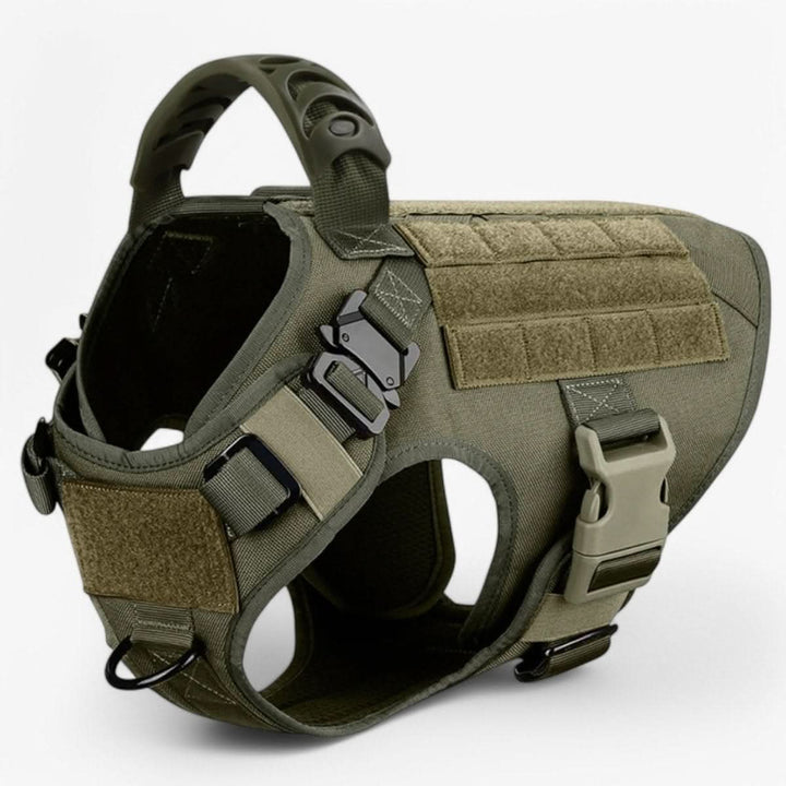 Azura | Adjustable Dog Harness for Safe and Comfortable Training