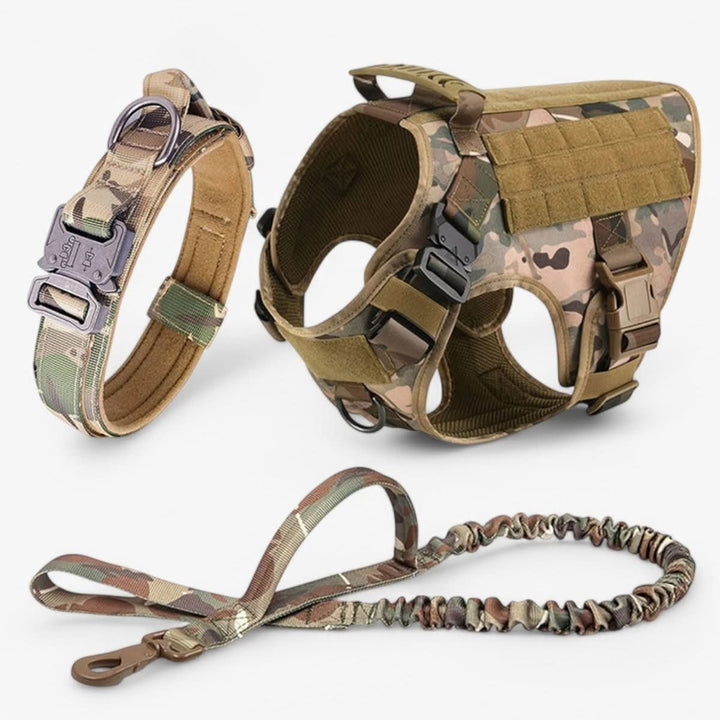 Azura | Adjustable Dog Harness for Safe and Comfortable Training
