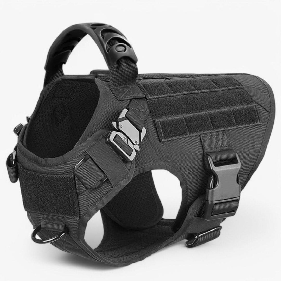 Azura | Adjustable Dog Harness for Safe and Comfortable Training