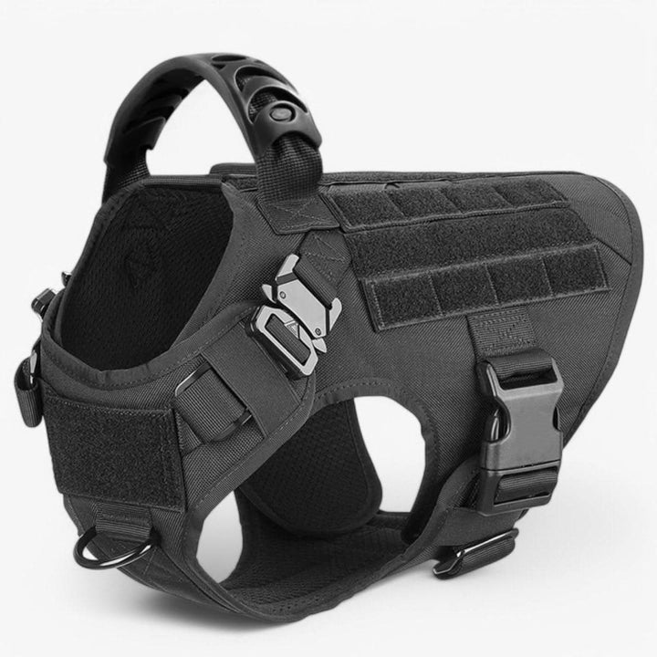 Azura | Adjustable Dog Harness for Safe and Comfortable Training