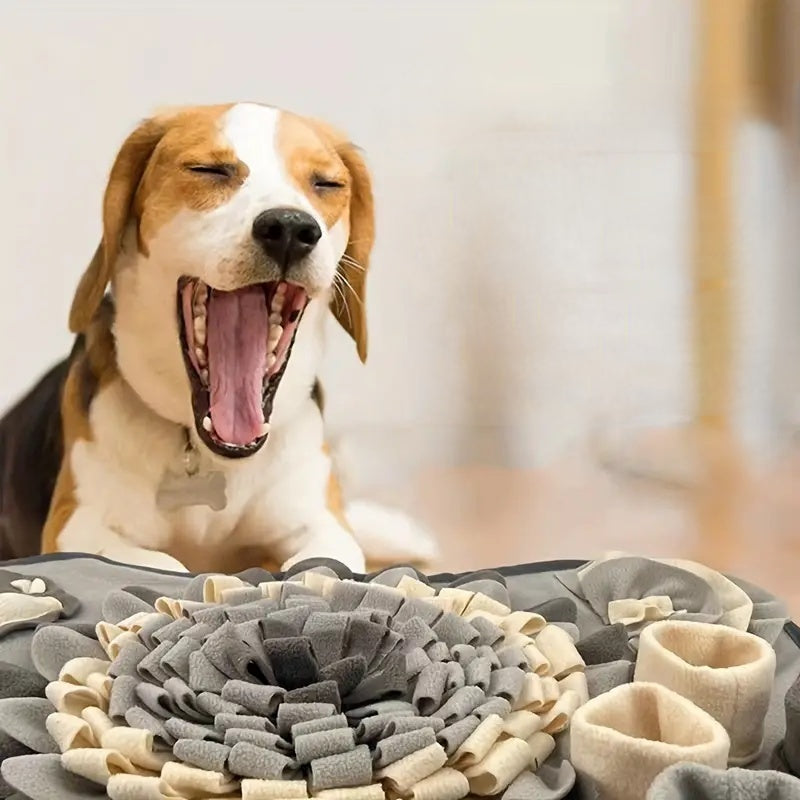 Turn Mealtime into a Sniffing Adventure – Buddy Snuffle Mat Azura