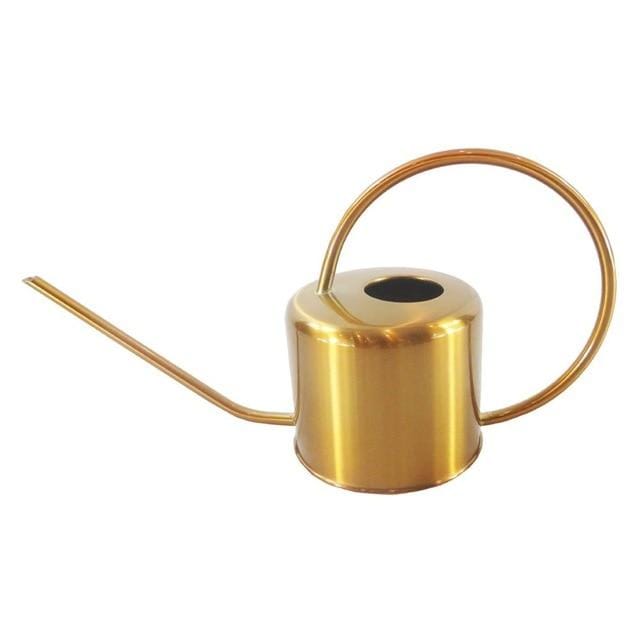 BowLift | Elliptical Watering Can