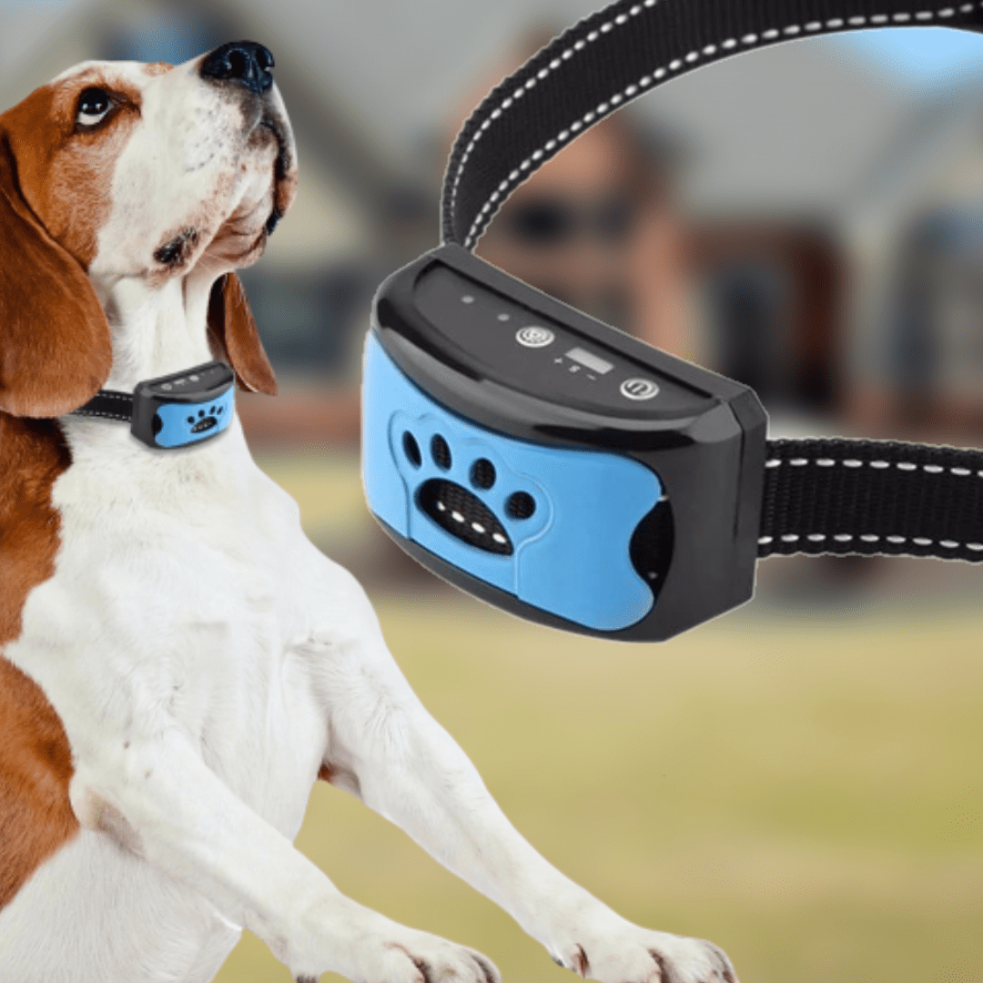 Azura | Painless Anti-Bark Collar – Vibrations & Ultrasound for Dogs
