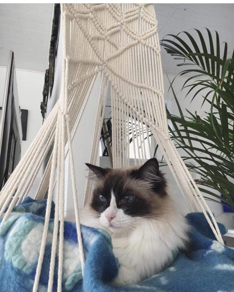 Azura | Macrame Wall Hanging Cat Bed