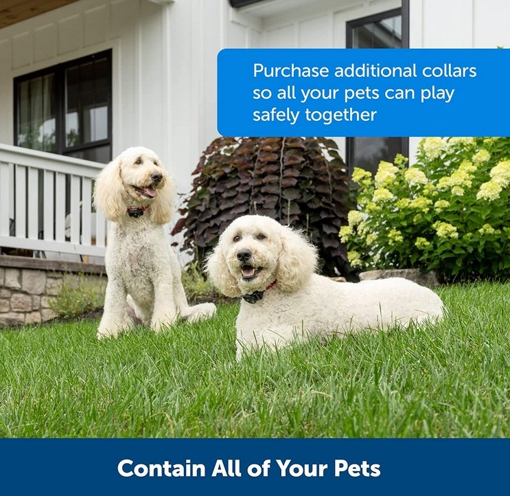 BowLift | Wireless Dog Fence Collar System | Waterproof, Rechargeable & Ideal for Home Training and Outdoor Adventures