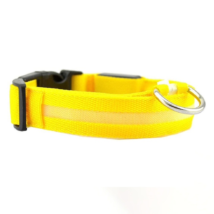 Azura | Luminous Animal Collar with LED Light – Rechargeable, Waterproof, Adjustable Fit for Enhanced Safety at Night